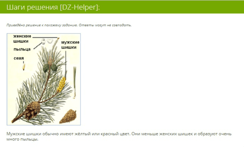 ЯКласс расширение